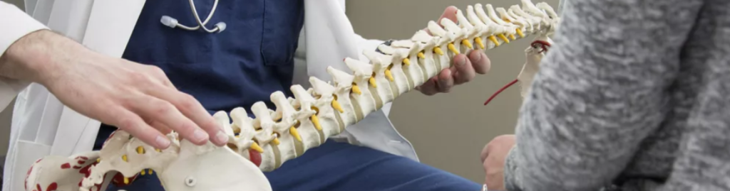 doctor holding spine model