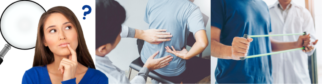 chiropractic care or physical therapy?